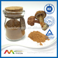 NSF-GMP Audited Supplier Best Polysaccharides Product Agaricus Blazei Extract